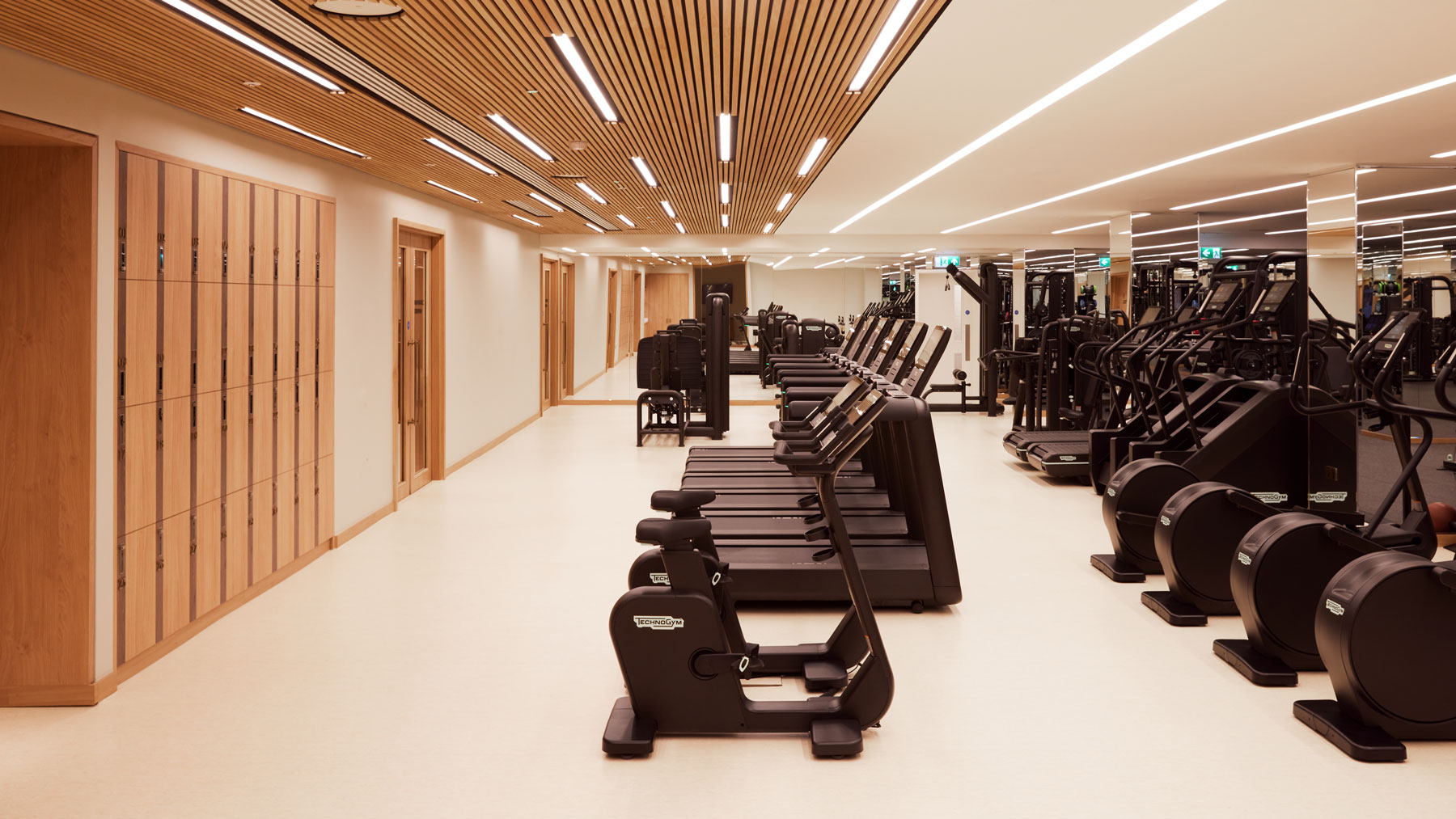 Gymnasium